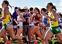 2023NCAAXC-0468