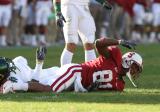 Stanford-Oregon-football-033