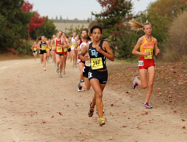 MMG_6887.JPG - 2010 California CIF XC Championships, Woodward Park, Fresno, California, 11/27